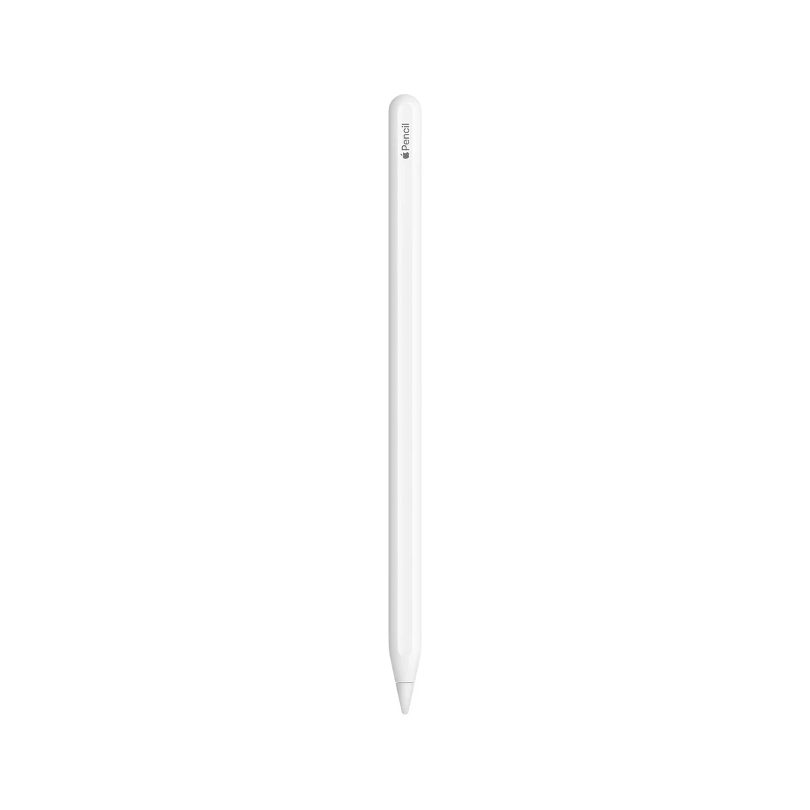 Apple Pencil 2nd Generation (MXN43)